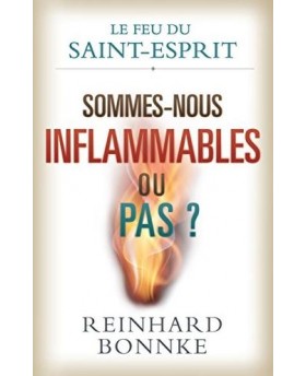 Le feu du Saint Esprit,...